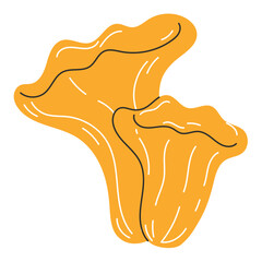 Chanterelle forest mushrooms wild edible fungi autumn woodland illustration