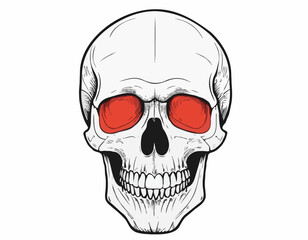 Human skull in colors sketch hand drawn in doodle style Vector illustration.
