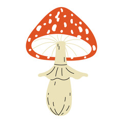 Forest Fly Agaric Mushroom with Red Cap and White Spots Illustration