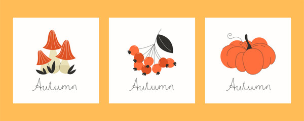 Autumn Fall Minimalist Greeting Card Set with Mushrooms Berries and Pumpkin Illustration