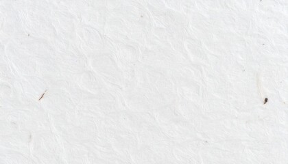 Obraz premium Handmade Paper Texture: Off White Flecked Fibers Macro