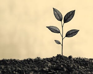 Tiny plant sprouting: A lone seedling reaches for the sky, its delicate leaves a testament to resilience and growth. Symbol of hope and new beginnings