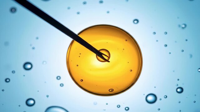 Macro close-up of in vitro fertilization process, showing a fine needle injecting into a yellow cell droplet, symbolizing IVF and reproductive biotechnology.