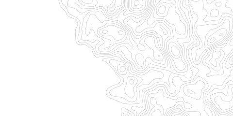 white topography map abstract vector lines topographic contour lines grid seamless pattern.