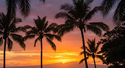 Fototapeta premium Sunset palm trees silhouette