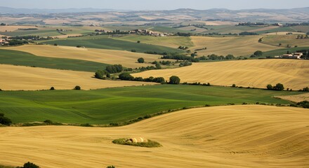 Naklejka premium Rolling hills and golden fields