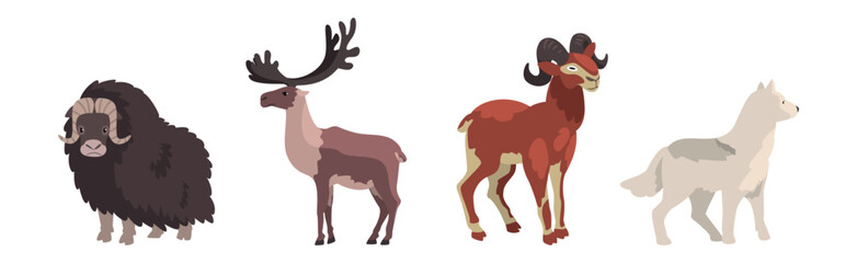Polar Animals and Wild Northern Fauna Vector Set