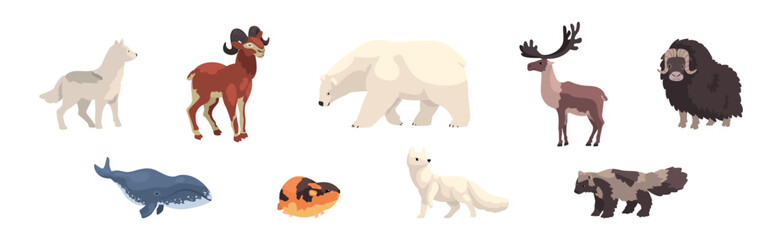 Polar Animals and Wild Northern Fauna Vector Set