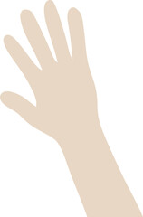 Illustration of a Hand with Five Fingers