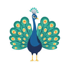 2D flat vector illustration of a Peacock in icon style, isolated on white background