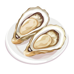 2D flat vector illustration of a Oysters in icon style, isolated on white background