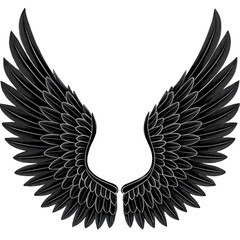 Fototapeta premium Black Wings PNG – Symmetrical Feathered Silhouette