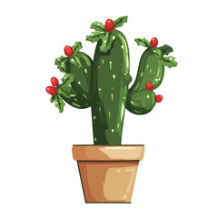 Flat 2D Mistletoe Cactus illustration, vector graphic in icon style, on white background