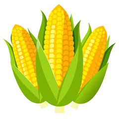 set of yellow corn