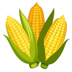 set of corn