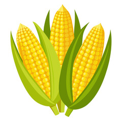 corn isolated on white background