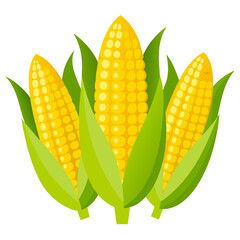 set of corn
