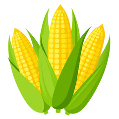 Obraz premium set of corn