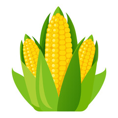 Obraz premium corn on the cob