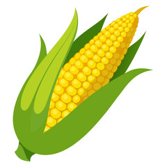 yellow corn