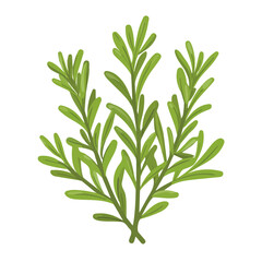 2D flat vector illustration of a Rosemary in icon style, isolated on white background