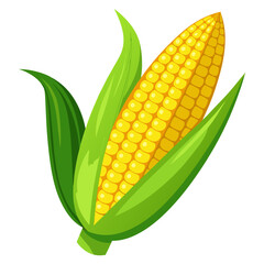 Obraz premium corn on a white background