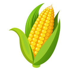 Obraz premium corn on a white background