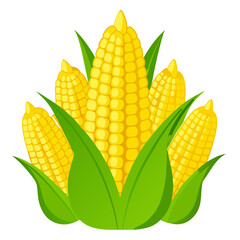 corn isolated on white background
