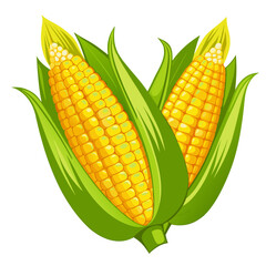 corn on a white background