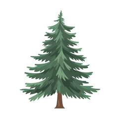 Flat 2D Pine Tree illustration, vector graphic in icon style, on white background
