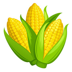 Obraz premium set of corn