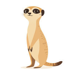 Minimal flat vector of a Meerkat, 2D icon-style illustration on white background