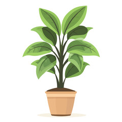 Flat 2D Ti Plant illustration, vector graphic in icon style, on white background