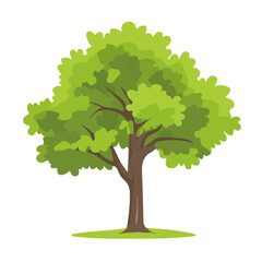 2D flat vector illustration of a Walnut Tree in icon style, isolated on white background