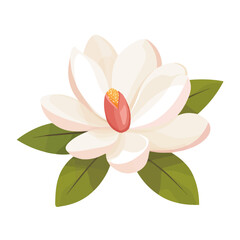 Flat 2D Magnolia Flower illustration, vector graphic in icon style, on white background