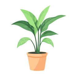 Minimal flat vector of a Ti Plant, 2D icon-style illustration on white background