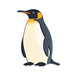 Fototapeta premium Penguin, flat style 2D vector image, isolated on a white background