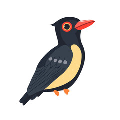 Flat 2D Koel illustration, vector graphic in icon style, on white background