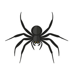 Minimal flat vector of a Spider, 2D icon-style illustration on white background