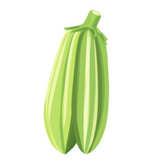Minimal flat vector of a Okra, 2D icon-style illustration on white background