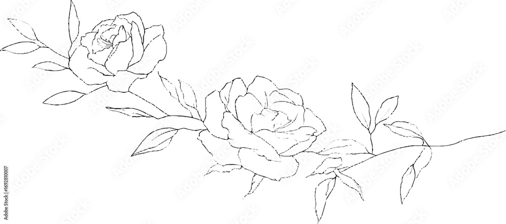 Poster minimalist line art border of intersecting square roses for decorative design