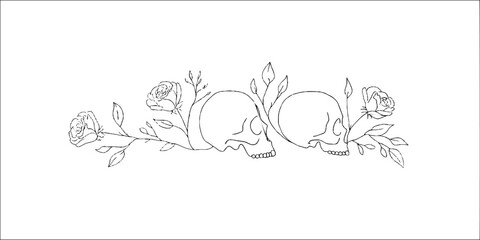 Minimalist line art border featuring skulls and roses for design and decoration