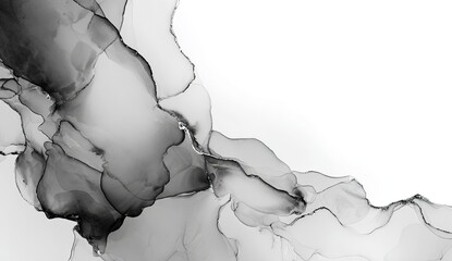 Abstract grayscale ink wash art
