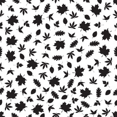 Leaves seamless black pattern, vector illustration.