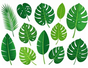 Fototapeta premium set of leaves