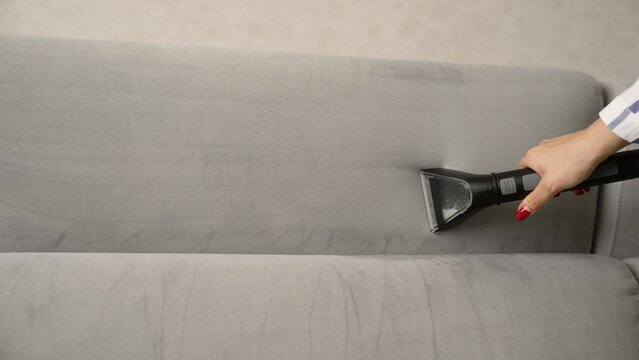Cleaning service vacuuming a grey sofa