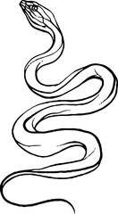 Fototapeta premium Minimalist line art of snake for tattoos and decor