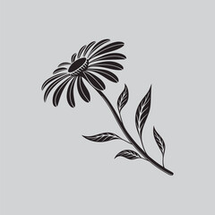 Garden Paper Daisy Vector Illustration