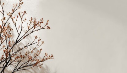 Delicate, dried branch arrangement against a muted backdrop