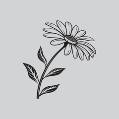 Natural Paper Daisy Drawing Vector